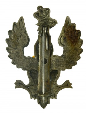 Patriotischer Adler (865)