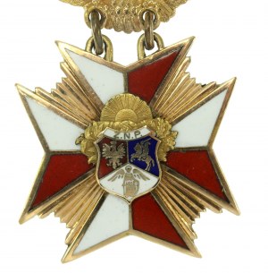 Cross of Merit of the Polish National Union in the USA - GOLD (866)