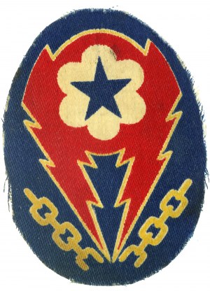 Shoulder patch Polish Sentry Troops in Germany (869)