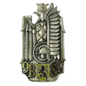 PESnZ, insigne du 9e bataillon de tirailleurs flamands (880)