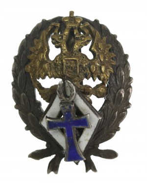 Russia miniature badge of university graduates in Russia (922)