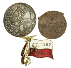 II RP, un ensemble d'insignes Sokol. Total de 3 pièces. (696)