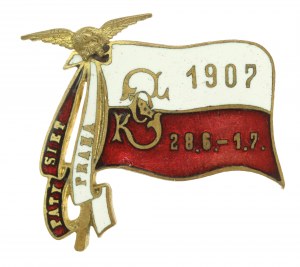 II RP, a set of Sokol badges. Total of 3 pcs. (696)