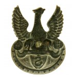 II RP, Eagle with the letter S removed. Treasurer and Fiszbein (598)
