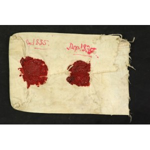 Sac de dépôt du régiment des lanciers des Carpates (32)