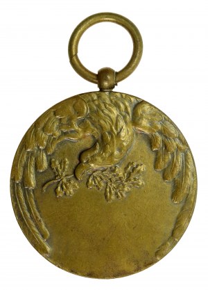 II RP, médaille sportive Siemianowice Śląskie 1931 (255)
