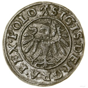 Szeląg, 1539; data zapisana małymi cyframi, w legendzie...