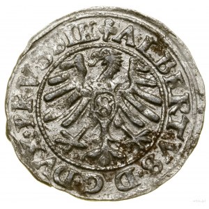 Shelag, 1550, Königsberg; Kop. 3761 (R), Neumann 48, Slg....