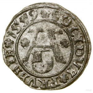 Szeląg, 1559, Królewiec; Kop. 3769 (R), Neumann 48, Slg...