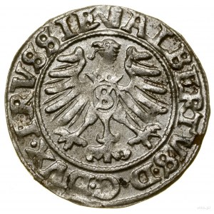 Szeląg, 1558, Królewiec; Kop. 3768 (R), Neumann 48, Slg...
