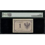 1 złoty, 28.02.1919; seria 46 C, numeracja 056,042; Luc...