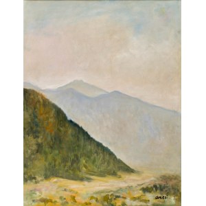 Irena WEISS - ANERI (1888-1981), Berglandschaft - Szczawnica, 1960