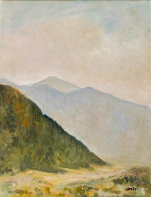 Irena WEISS - ANERI (1888-1981), Pejzaż górski - Szczawnica, 1960