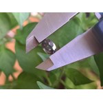 2.34ct - Natural Investment Sapphire with Alexandrite Effect - with Certificate