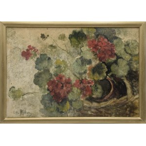 Clementine MIEN (1870-1954), Pelargoniums