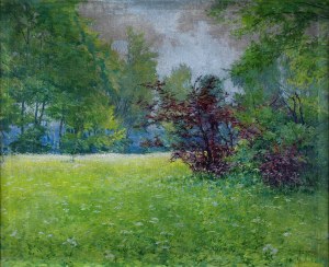 Theodore ZIOMEK (1874-1937), Spring Meadow