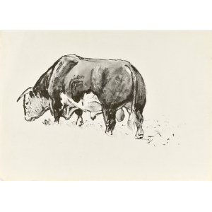 Ludwik MACIĄG (1920-2007), Bull.