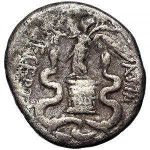 Rímske mince, cisárstvo, Augustus (27 pred n. l. - 14 n. l.), Quinarius n.d. (asi 29-27 pred n. l.), Rím alebo Brundisium
