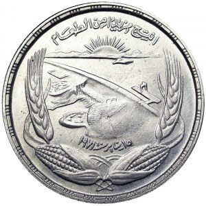 Egitto, Repubblica Araba (1391-data AH) (1971-data AD), 1 sterlina 1973