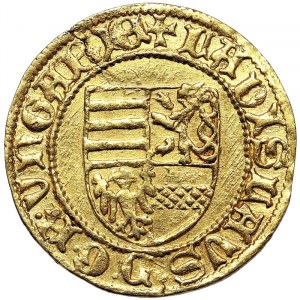 Ungheria, Regno, Ladislao V (1453-1457), Goldgulden n.d., Kremnitz