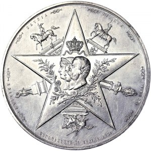 Italia, Regno d'Italia, Umberto I (1878-1900), Medaglia 1884