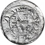 R-, W. II Wygnaniec 1138-1146, krakovský denár, bojující lev, raženo