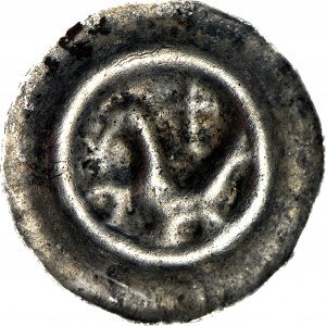 RR-, Pomerania occidentale, (Swietopelk II il Grande 1220-1266?), Brakteat, Uccello e giglio