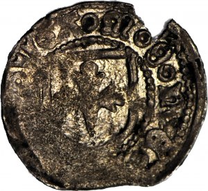 Pomerania Occidentale, Stettino - città, quarto XV secolo, Trinità in scudo/Grifone