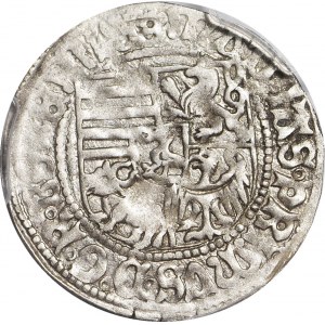 R-, Schlesien, Maciej I Korwin 1469- 1490, Pfennig, ERSTER Pfennig mit Inschrift WROCŁAW