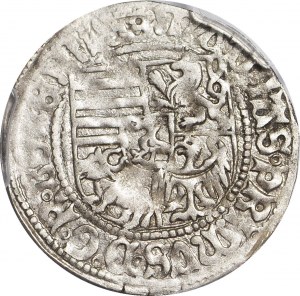 R-, Slesia, Maciej I Korwin 1469- 1490, centesimo, PRIMO centesimo con iscrizione WROCŁAW