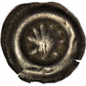 RR-, Schlesien, Wenzel Legnicki (1382-1417), Brakteat, Nysa, Muschel - selten