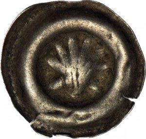 RR-, Silésie, Wenceslas Legnicki (1382-1417), brakteat, Nysa, Shell - rare