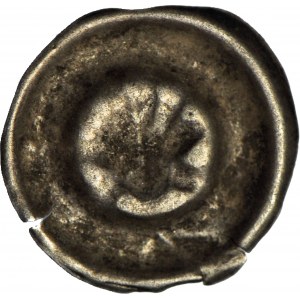 RR-, Schlesien, Wenzel Legnicki (1382-1417), Brakteat, Nysa, Muschel - selten