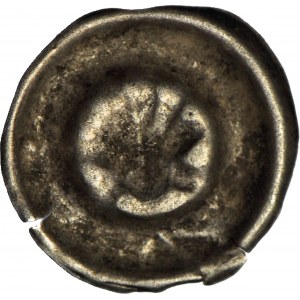 RR-, Slesia, Wenceslas Legnicki (1382-1417), brakteat, Nysa, Shell - raro