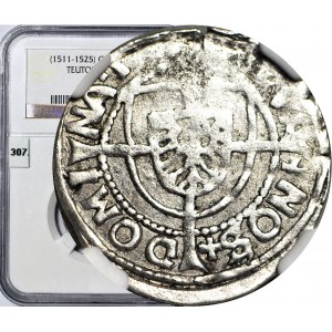 RR-, Teutonský rád, Albrecht Hohenzollern, typ groša 15Z1-1525, Königsberg, malý orol v štíte