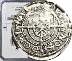 RR-, Ordine Teutonico, Albrecht Hohenzollern, penny 1519, Königsberg, aquila piccola nello scudo