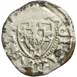 Teutonský rád, Martin Truchsess von Wetzhausen 1477-1489, Shell, Königsberg, vzácnejšie