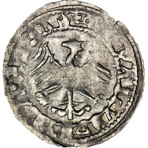 RR-, Alexander Jagiellonian, Half-penny, forgery to the detriment of the issuer