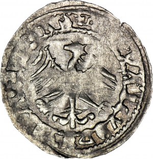 RR-, Alexander Jagiellonian, Half-penny, forgery to the detriment of the issuer