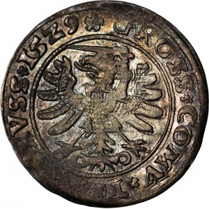 Sigismund I the Old, 1529 penny, Torun, PRVS/PRVSS, nice