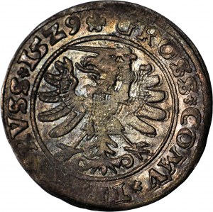 Žigmund I. Starý, groš 1529, Toruň, PRVS/PRVSS, pekný