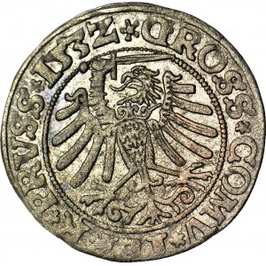 Sigismund I. der Alte, Pfennig 1532, Torun, PRVS/PRVSS, glänzend