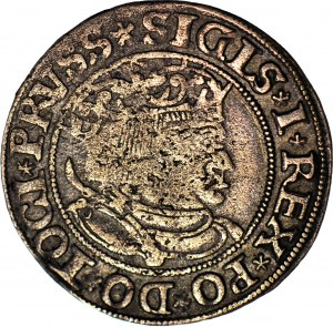 Sigismund I the Old, 1533 penny, Torun, PRVSS/PRVSS