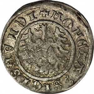Sigismond Ier le Vieux, demi-penny 1510, Cracovie, joli