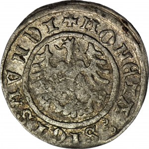 Sigismund I. der Alte, Halbpfennig 1510, Krakau, schön