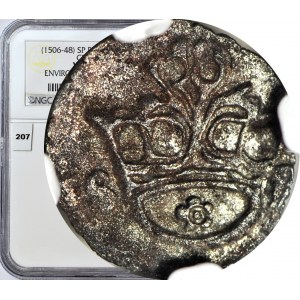 R-, Žigmund I. Starý, denár s ružou, mincovňa, T7, R3