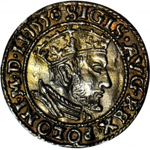 Sigismondo Augusto, Ducato di Danzica 1550, COPIA antica