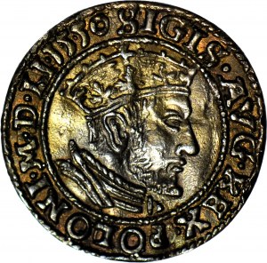 Sigismund Augustus, Ducat Gdansk 1550, old COPY