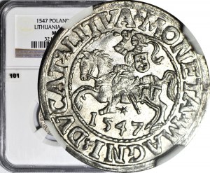 Zygmunt II August, Półgrosz 1547, Wilno, LI/LITVA, menniczy