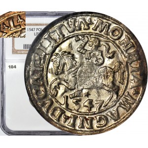 RR-, Sigismond II Auguste, Demi-penny 1547, Vilnius, L/LITVA, non oblitéré et très rare